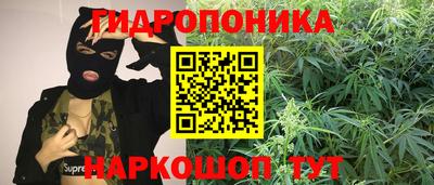 кокс Лесосибирск
